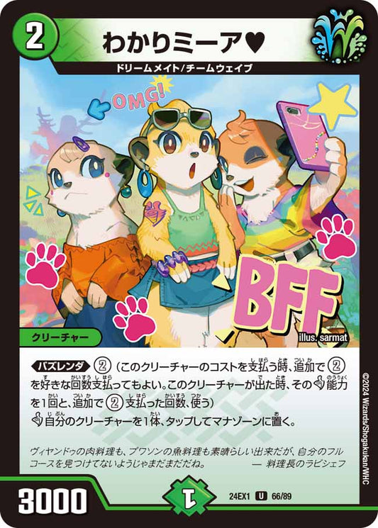 わかりミーア 66/89