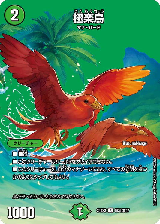 極楽鳥 超31/超47