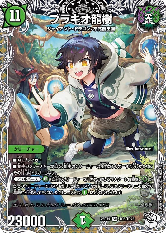 ブラキオ龍樹(TD6/TD23)