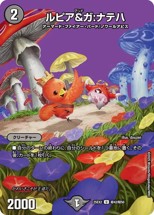 ルピア&ガ:ナテハ(超42/超50)
