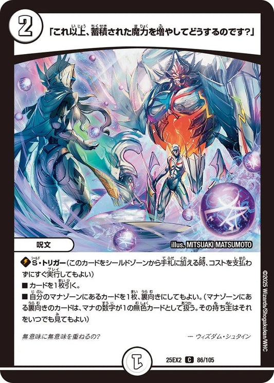 「これ以上、蓄積された魔力を増やしてどうするのです？」(86/105)